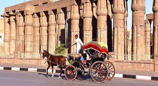Horse-drawn Carriage Ride